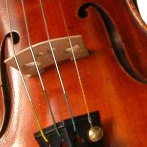violon_09