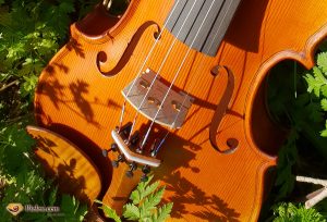 chevalet de violon