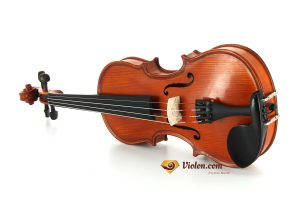 Violon