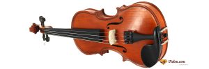 Violon Gliga Genial 1